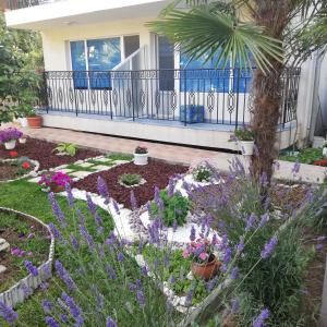 Zahrada ubytování Albatros 2 Family Hotel