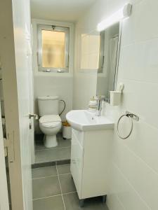 uma casa de banho branca com um WC e um lavatório em Simple One bedroom flat in Engomi em İncirli