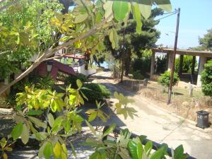 A garden outside Zavrakli