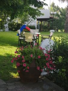 a garden with a table and chairs and flowers at Avra Ηouse in Kriopigi