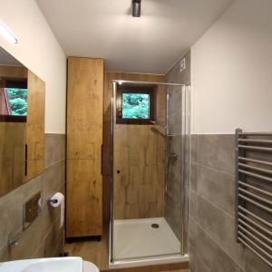 a bathroom with a shower and a toilet and a sink at Apartament Szumi Las Kletno in Kletno