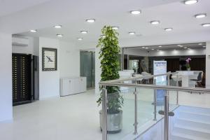 a large plant in the middle of a lobby at Albatros Family in Salou +127 photos