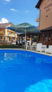 a large swimming pool with chairs and an umbrella at Pensiunea ALAS in Baile Felix
