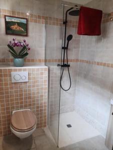 a bathroom with a shower and a toilet at Le Mas des Deux Tilleuls in Sablet