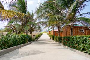 Zahrada ubytování Hotel Arena Beach Cartagena