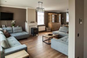 a living room with two blue couches and a fireplace at Vakantiewoning Nr63 in Brakel