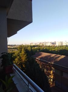 A balcony or terrace at Apartamento Turístico Príncipe Cáceres AT-CC-00415