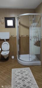 uma casa de banho com um chuveiro, um WC e um tapete em La Lenuța În Susani em Breb