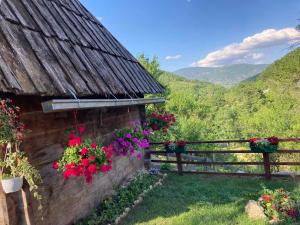 Splošen pogled na gorovje oz. razgled na gore, ki ga ponuja apartma