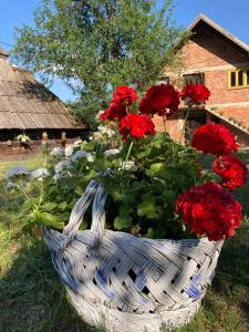 Vrt pred nastanitvijo apartman Mara