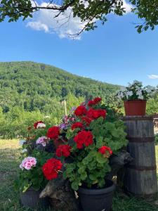 Splošen pogled na gorovje oz. razgled na gore, ki ga ponuja apartma