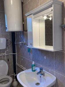 Kopalnica v nastanitvi apartman Mara