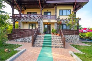 a house with a green carpet in front of it at Pensiunea VisAventura in Vişan