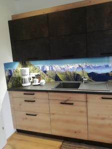 Kuchyňa alebo kuchynka v ubytovaní Appartement Ferienwohnung Bergahorn Gröbming