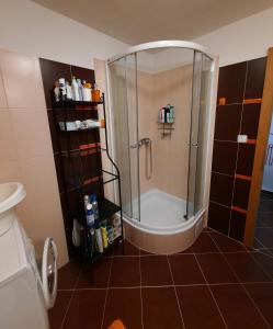Koupelna v ubytování Apartmán Lesná