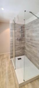 een douche met een glazen wand in een kamer bij La Résidence Arles Centre in Arles