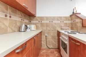 Una cocina o kitchenette en Apartment Otasevic 2