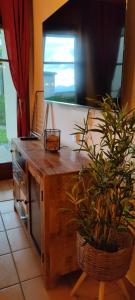 uma cozinha com uma mesa com uma planta em Familien-Garten-Suite Kanzelhöhe Gerlitzen - gerlitzenurlaub at em Kanzelhöhe