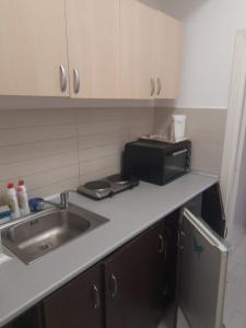 a kitchen counter with a sink and a microwave at Apartamente Neptun Bosco in Neptun