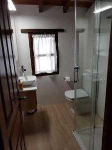 Villanueva de PríaにあるEl Navariegu 2のバスルーム(トイレ、ガラス張りのシャワー付)