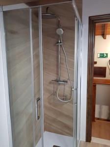 Villanueva de PríaにあるEl Navariegu 2のバスルーム(ガラスドア付きのシャワー付)