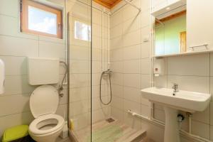 a bathroom with a toilet and a sink at Family lux Apartments in Žabljak