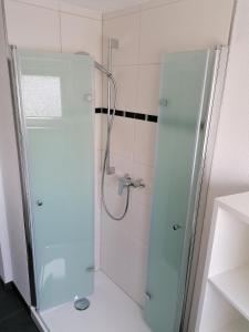 a shower with a glass door in a bathroom at Ferienwohnung Ratoldi in Radolfzell am Bodensee