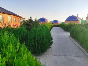 um caminho através de um campo de plantas ao lado de um edifício em Hotel Gumbaz em Samarcanda