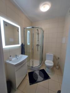 a bathroom with a shower and a sink and a toilet at Apartament Edyta in Świnoujście