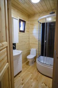 a bathroom with a toilet and a sink and a tub at Domki Nadmorskie Wicie in Wicie