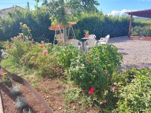 A garden outside Villa Monica