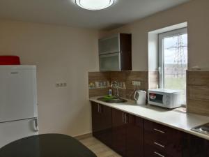 a kitchen with a sink and a refrigerator at 105 in Khmelnytskyi