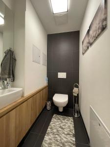 a bathroom with a toilet and a sink at Modern Danube Apartment Vienna in Vienna