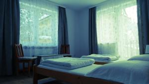 1 dormitorio con paredes azules, 1 cama y ventanas en Apartamenty Bogusia Korbielów Pilsko en Korbielów