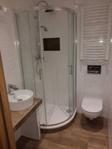 a bathroom with a shower and a toilet and a sink at Apartamenty Bogusia Korbielów Pilsko in Korbielów