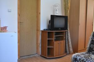 TV o dispositivi per l'intrattenimento presso Šćekić Accommodation