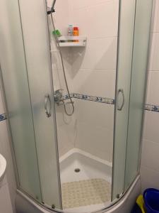 een douche met een glazen deur in de badkamer bij Apartments ZOLOTOY BEREG in Zatoka
