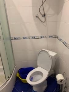 a small bathroom with a toilet and a shower at Apartments ZOLOTOY BEREG in Zatoka