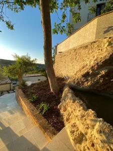 a tree sitting next to a stone wall next to a tree at Relais FraSimon Antico Casale in San Vito Chietino