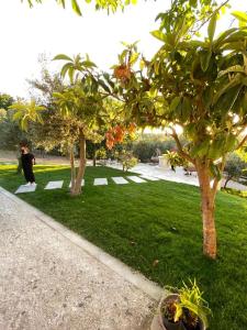 a person standing in a park next to trees at Relais FraSimon Antico Casale in San Vito Chietino