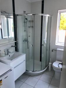 a bathroom with a shower and a sink and a toilet at Private pool and Mediterranean garden apt Mia in Šilo