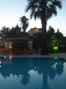 uma piscina com uma palmeira e uma casa em LEMON GARDEN em Vasilikos