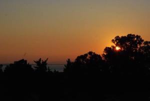 a sunset over the ocean with trees in the foreground at LEMON GARDEN in Vasilikos