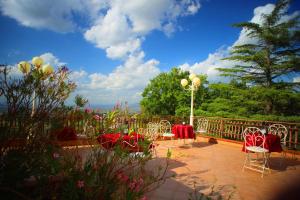 A garden outside Nuovo Mondo