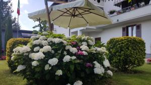 Zahrada ubytování B&B Margè