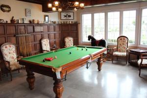 a living room with a pool table and chairs at Maison Theresa in Bourth