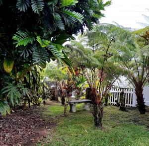 Paradise Cottage at Anthurium Hale外面的花园