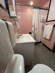 a pink bathroom with a sink and a toilet at Best Motel Bowling Green in Bowling Green