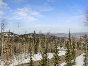 a view from the top of a mountain with trees at Fishing Bear Loft in Brian Head
