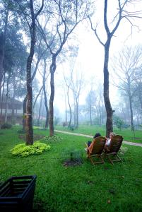 Zahrada ubytování Greenwoods Resort, Thekkady
